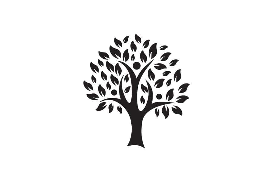 Denise Taylor logo